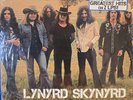 Lynyrd Skynyrd ICON 2 LP SEALED