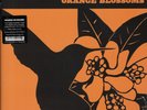 JJ GREY & MOFRO - ORANGE BLOSSOMS (RSD 2025) VINYL 2LP [TRANSLUCENT ORANGE]