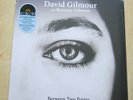 DAVID GILMOUR with ROMANY GILMOUR Between Two Points  Record Store Day 2025 RSD