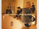 Pale Saints Slow Buildings Vinyl Rsd Album New Seal