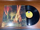 Echo And The Bunnymen – Crocodiles - VG+ Vintage Press