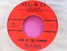 THE HI-TONES - Sure as the Flowers / Girls - clean 45 rpm - Seg-Way 105