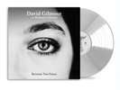 DAVID GILMOUR Between Two Points - LP (12
