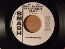 The Hallmarks Soul Shakin Psychedelic Sally/Girl Of My Dreams Promo RARE  Psych