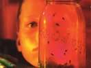 Alice In Chains ‎– Jar Of Flies / SAP Music on Vinyl Color Vinyl SEALED