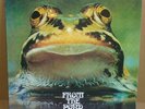 FROGGIE BEAVER From The Pond LP AKARMA RECORDS 1973/2000 ITA re+180gr+7