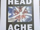 HEADACHE VEGYN The Head Hurts but the Heart Knows the Truth -double Vinyl air