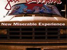 Gin Blossoms New Miserable Experience (Vinyl) 12