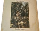 Van Morrison LP Record Album Tupelo Honey 1971 WS-1950 Wild Night First Press