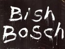 Bish Bosch by Scott Walker 1st EU&UK 2XLP +CD+BOOKLET 2012