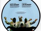 The Beatles Hello Goodbye PICTURE DISC 