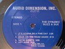SOUL ROCK LOUNGE 33 RPM LP KILLER by THE DYNAMIC BUZZ & SUE HEAR CLIPS
