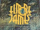 ELMORE JAMES   To Know A Man   12” Double LP BLUE HORIZON 1969 7-66230 UK Vinyl