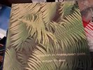 EDGAR FROESE: Ypsilon In Malaysian Pale Album  V 2040