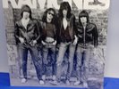 RAMONES LP Ramones Debut 180 Gram ReMastered Blitzkrieg Bop NEW SEALED