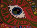 The Psychedelic Sounds Of The 13th Floor Elevators: MONO