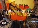 Junior Kelly, Love So Nice, 2001 VP Records US 1st Press Vinyl LP SEALED  Reggae