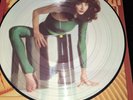 Kate Bush ‎The Kick Inside (1979) Vinyl, Limited Edition, UK Picture Disc.