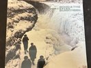 Echo And The Bunnymen - Porcupine - Reissue White Vinyl LP, 2020 Korova Records
