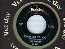 RARE BEATLES SINGLE- THE BEATLES- 