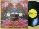 BLUE MOUNTAIN EAGLE RARE 1970 HARD FUZZY GARAGE PSYCH ACID ROCK SHRINK MINTY