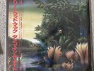 Fleetwood Mac – Tango In The Night/LP 1987 P-13490 w/OBI Japan EX/EX
