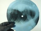 MONKEES A LITTLE BIT  X-Ray USSR Record Roentgen Bone Ribs Music Vinyl