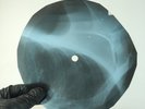 LOS BRAVOS BLACK IS BLACK X-Ray USSR Record Roentgen Bone Ribs Music Vinyl