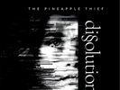 The Pineapple Thief Dissolution (Vinyl) 12