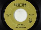 Surf Inst. 45 - Vaqueros - Echo/Desert Wind - Audition