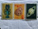 The B-52's Rock Lobster 3 x  Shaped Picture Disc Set New Wave Indie Pop Blondie
