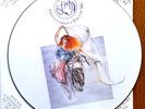 Mint - Fish (Marillion) A Gentleman's Excuse Me VINYL 12