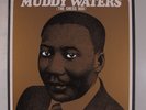 MUDDY WATERS The Chess Box CHESS 11XLP NM boxset with booklet r