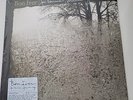 Bon Iver – For Emma, Forever Ago OG LP SHRINK HYPE STICKER Jagjaguwar JAG 115 08
