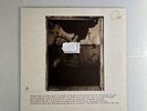 Pixies – Surfer Rosa - 4AD – CAD 803 - 12