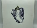 WEEN White Pepper LP 2009 Plain Recordings Press 180G Vinyl Rare VG+ Pic Inner