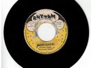 #41 ROOTS REGGAE 45 RHYTHM LABEL HORACE ANDY 