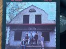 NM  Only Life by The Feelies (BLK label 1988 A&M Vinyl  LP)