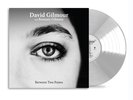 David Gilmour Between Two Points Remixes (Rsd2025) 12 Inch Vinyl NEW
