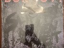 Bon Jovi Slippery When Wet (Vinyl, 1986 LP Album) 143465-A