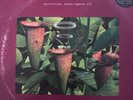 Artificial Intelligence II 12 Track 12inch Triple Vinyl Pack On Warp Records