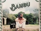 LIKE NEW - COLORED VINYL - 2xLP - Dennis Wilson - Bambu (The Caribou Sessions)
