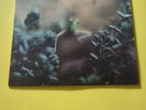 Steely Dan  Katy Lied Vinyl is Mint/Mint Minus  1980.  Free Shipping