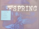 The Offspring Self Esteem Vinyl Record VG+/VG 12hole001 1994