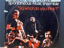 Spontaneous Music Ensemble, So What Do You Think LP, MULTIPLE LP'S SHIP FREE