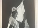 SUBLIME ORIGINAL NEGATIVE BRIGITTE BARDOT FRENCH FLAG