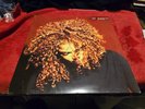 VINTAGE VINYL  JANET JACKSON THE VELVET ROPE DOUBLE LP ALBUM