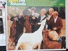 Beach Boys Pet Sounds Analogue Productions MONO 180gm 45rpm vinyl 2 LP Tested