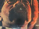 Joe Henderson : IN PURSUIT OF BLACKNESS 1971 Jazz LP Vinyl Record MSP-9034 RARE