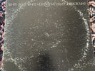 White Light/White Heat; Velvet Underground; Verve; OG, First Stereo; SOLID COPY